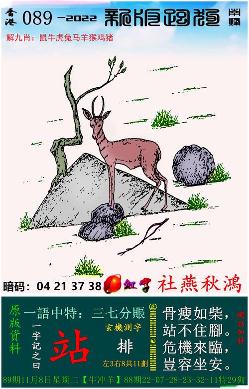 澳门独家九肖,设计策略快速解答_整版DKJ656.74