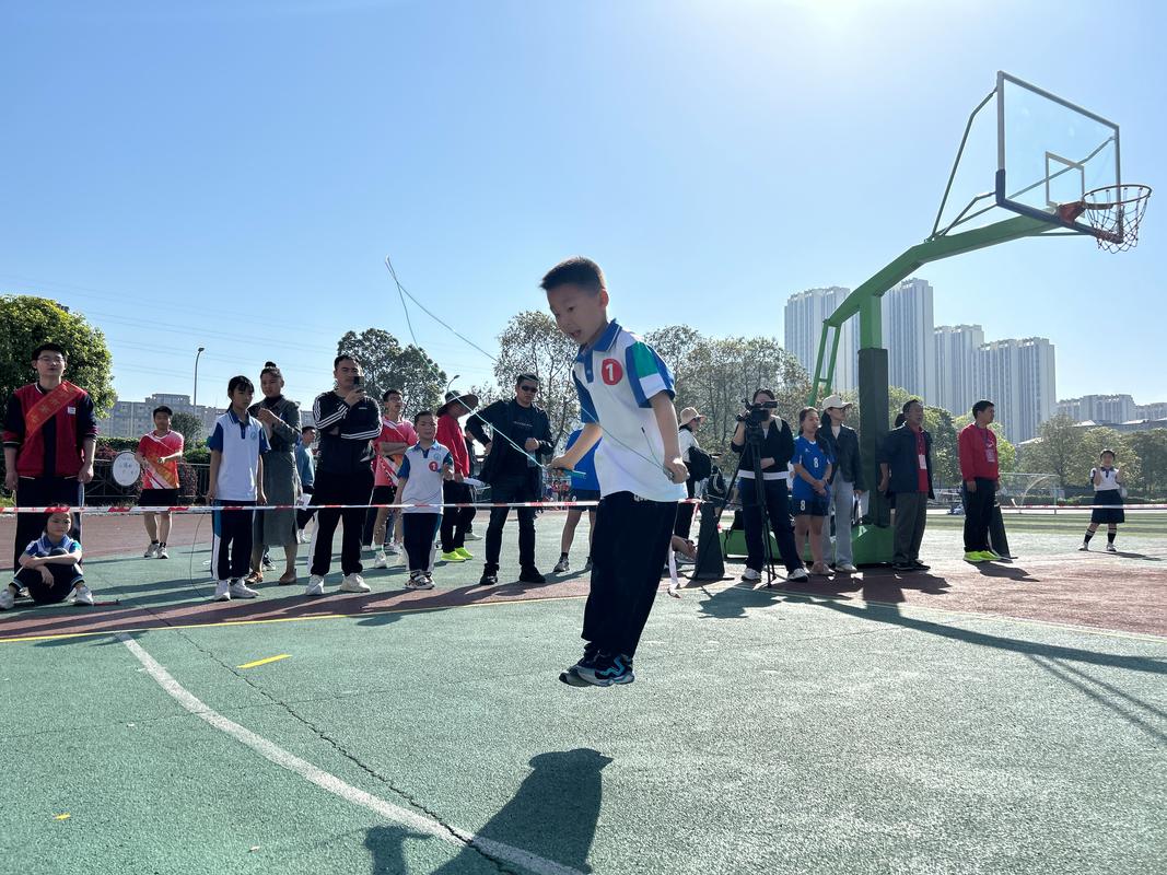 运动比赛报名,设计策略快速解答_整版DKJ656.74