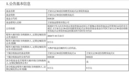 2024新澳门免费公开资料,设计策略快速解答_整版DKJ656.74