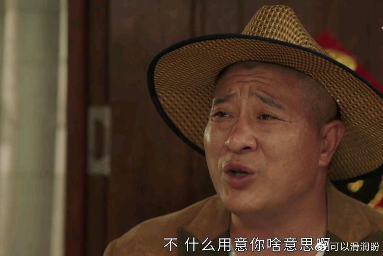 乡村爱情13在线观看,设计策略快速解答_整版DKJ656.74