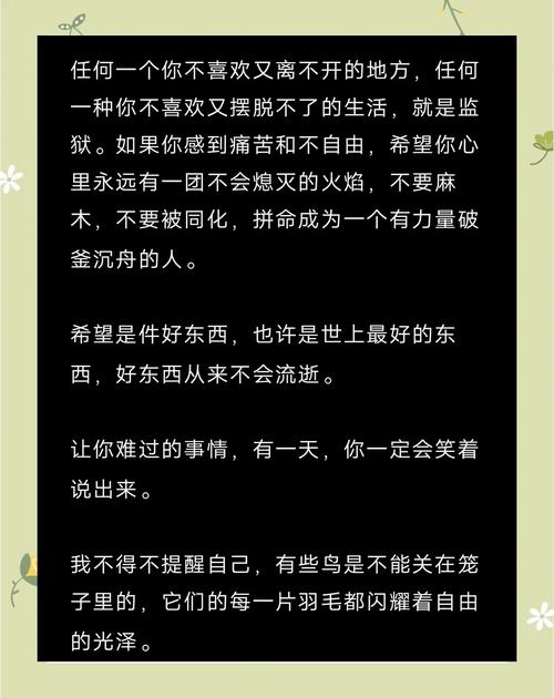肖申克的救赎经典语录,绝对策略计划研究_社交版40.12.0