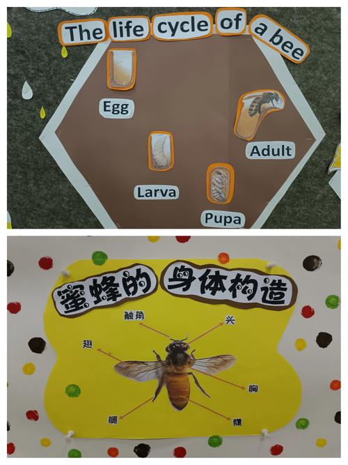 2025年4月17日 第5页