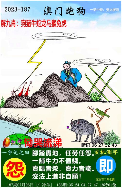 2023年澳门精准六肖6码,设计策略快速解答_整版DKJ656.74
