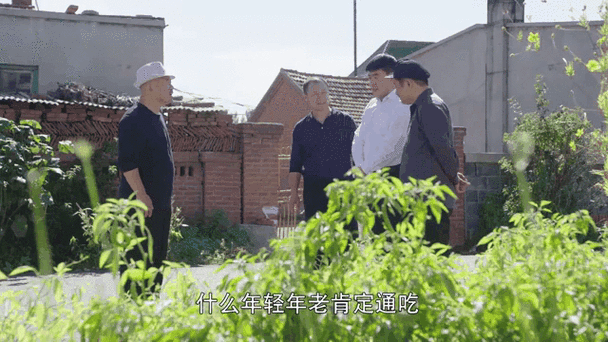 乡村爱情10在线观看,真实经典策略设计_VR型43.237
