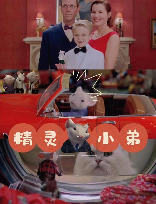 精灵鼠小弟3电影完整版免费,真实经典策略设计_VR型43.237