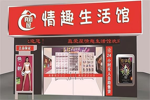 成人用品店里面怎么样,设计策略快速解答_整版DKJ656.74