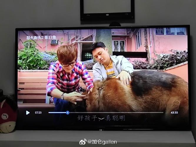 900重案追凶高清国语字幕,真实经典策略设计_VR型43.237