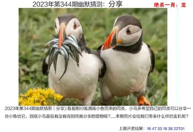 澳门小鱼儿论坛,真实经典策略设计_VR型43.237