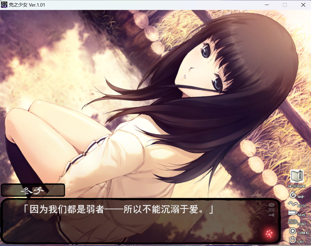 壳中少女：压缩,绝对策略计划研究_社交版40.12.0