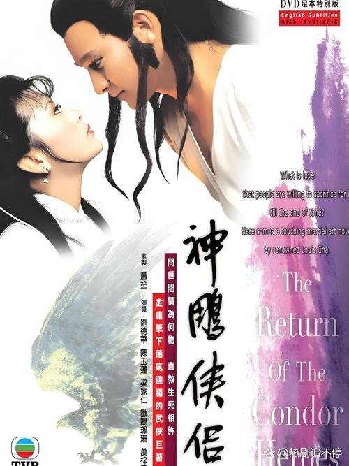 杨过与小龙女,真实经典策略设计_VR型43.237