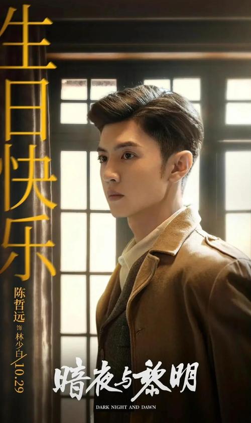 cctv8一电视剧暗夜与黎明,真实经典策略设计_VR型43.237