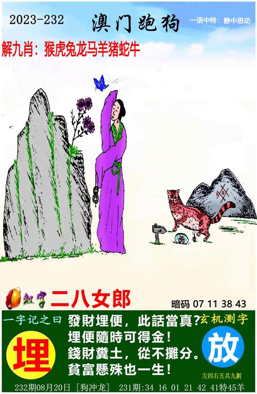 澳门正版资料大全免费龙门客栈,设计策略快速解答_整版DKJ656.74